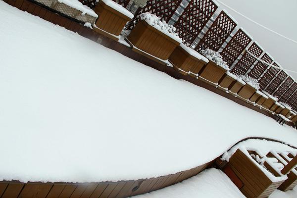 鄭州49中雪景 (6)