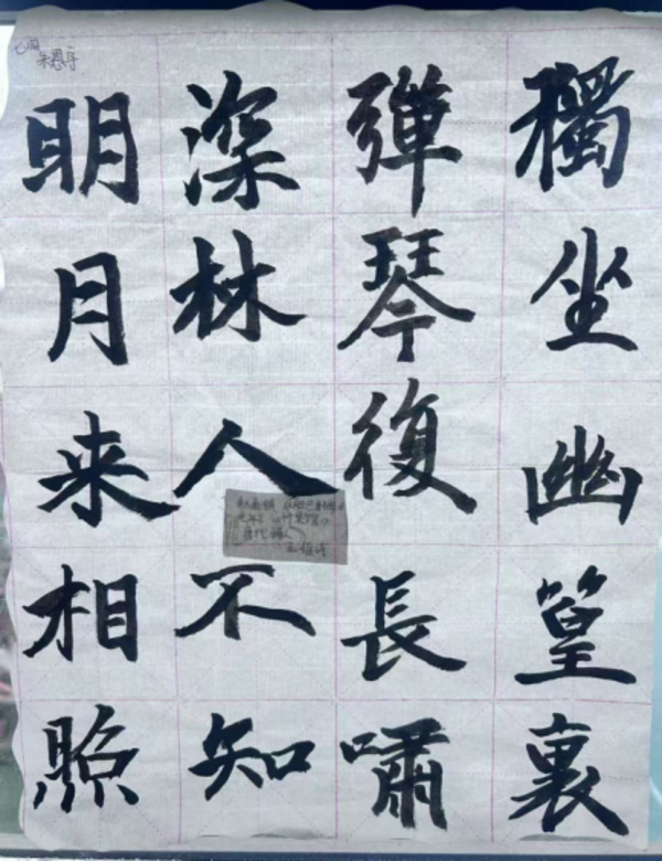 書香滿校園 經(jīng)典潤心田 (8)